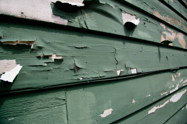 Professional Siding Installation & Repair in Lake Geneva, WI
